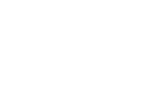 Logo Audiogate weiss